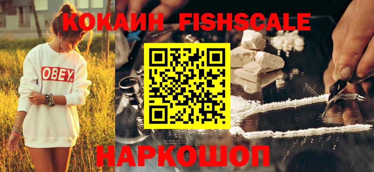 Cocaine Fish Scale  COCAIN  Ярославль  Вход с VPN 